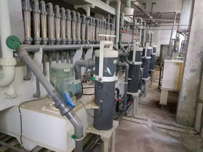 龍崗區(qū)報(bào)廢資產(chǎn)設(shè)備回收 倒閉廠整體收購、閑置物資競價(jià)回收與深圳舊貨市場(chǎng)全景