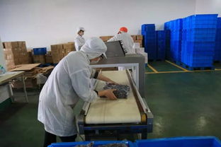 揭秘松江食品產(chǎn)業(yè)巨頭 年銷售額超50億的行業(yè)典范
